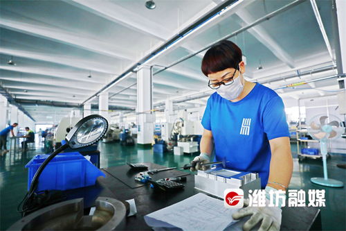 濰坊企業(yè)家榮膺歐洲自然科學院院士，技術(shù)創(chuàng)新引領產(chǎn)業(yè)發(fā)展