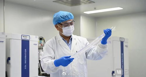 國產生物型人工血管獲創新通道認可，心血管治療迎來新突破